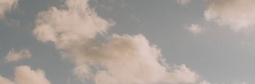 taylor 🌸✨ banner