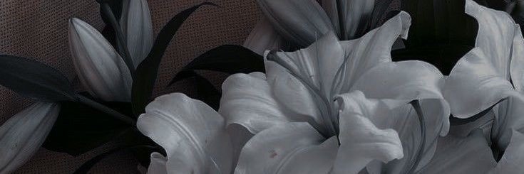 blind_banker's profile banner image