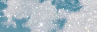 Sonny Rose banner