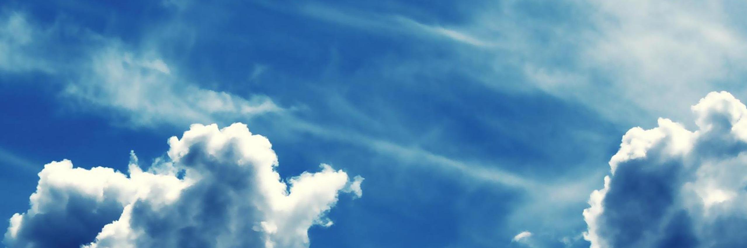 ADLFTheOfficial's profile banner image