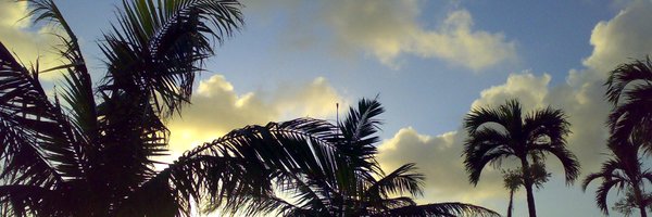 supatintin Profile Banner