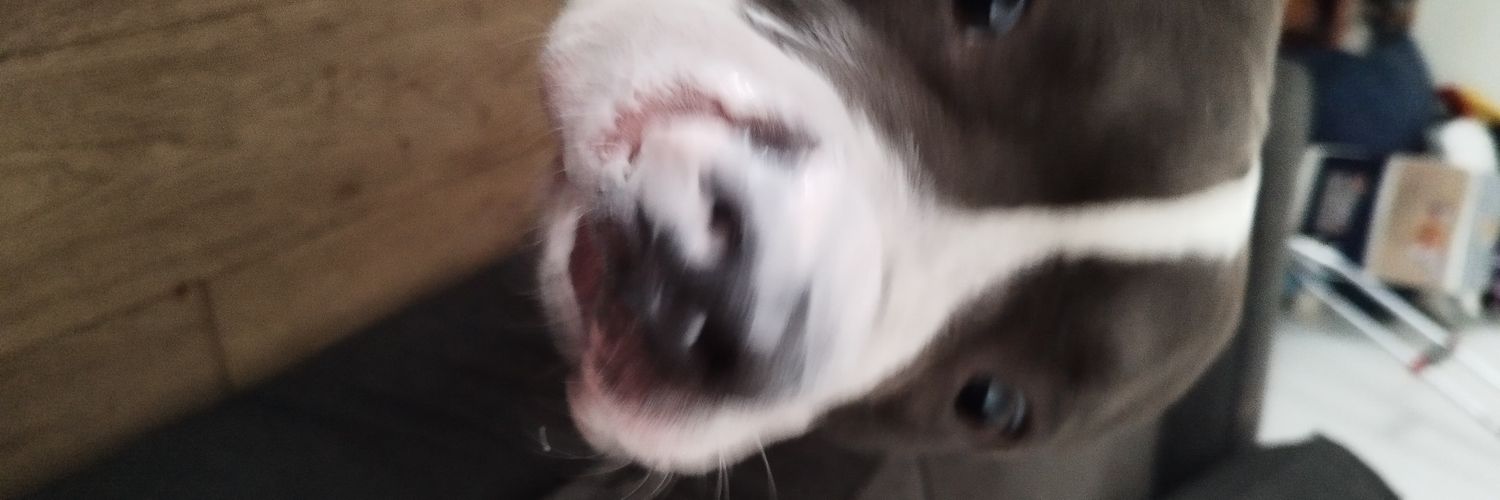 alexsixcent's profile banner image