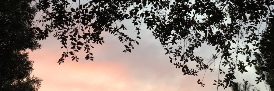 juanrb7's profile banner image