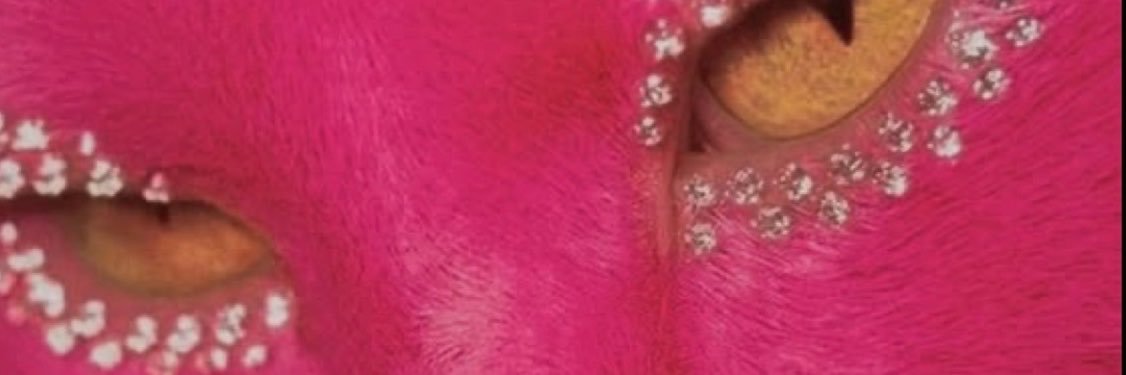 badgalollo's profile banner image