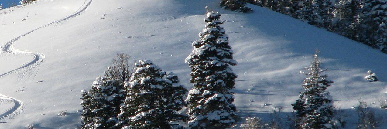 GaryMarcoccia's profile banner image