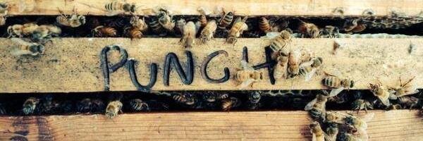 PunchHoneybeeCo's profile banner image