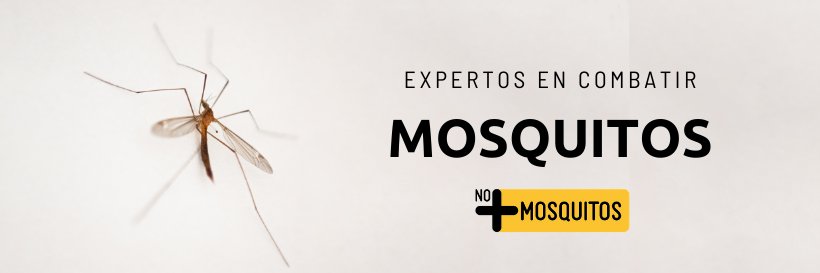 nomasmosquitos's profile banner image