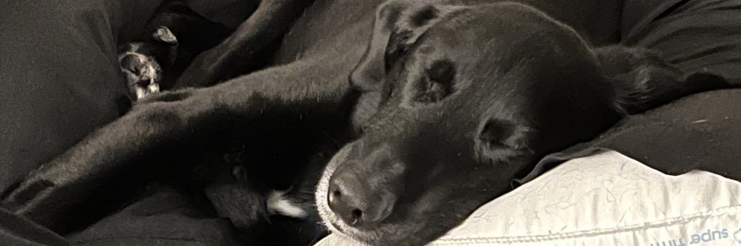 Competitr's profile banner image