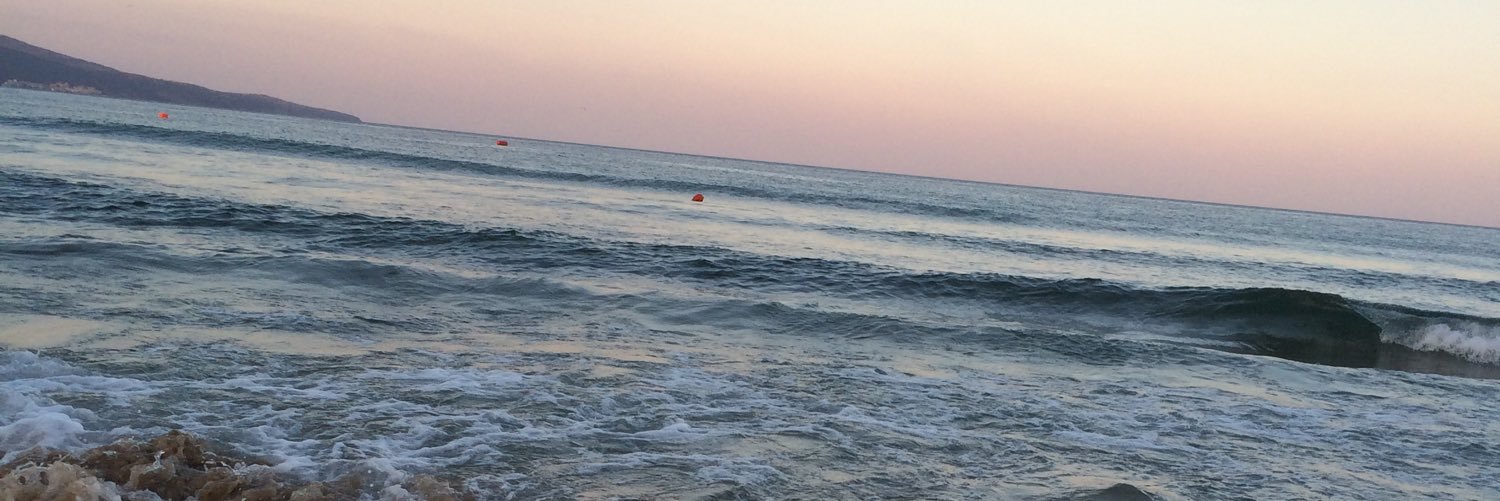 Markus Karlsson banner