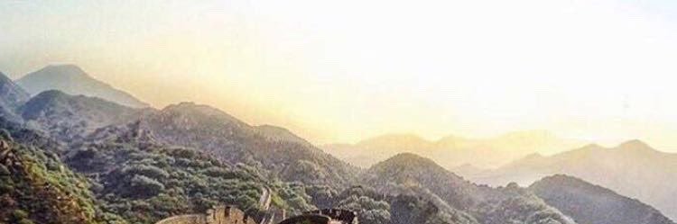 snowerlax's profile banner image