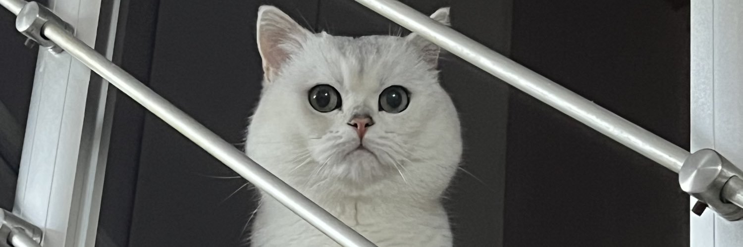 iwL11nEVERl0SE banner