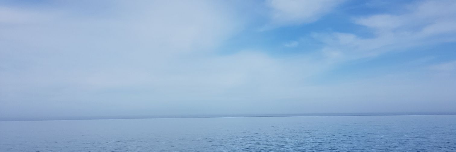 cagrimyo's profile banner image