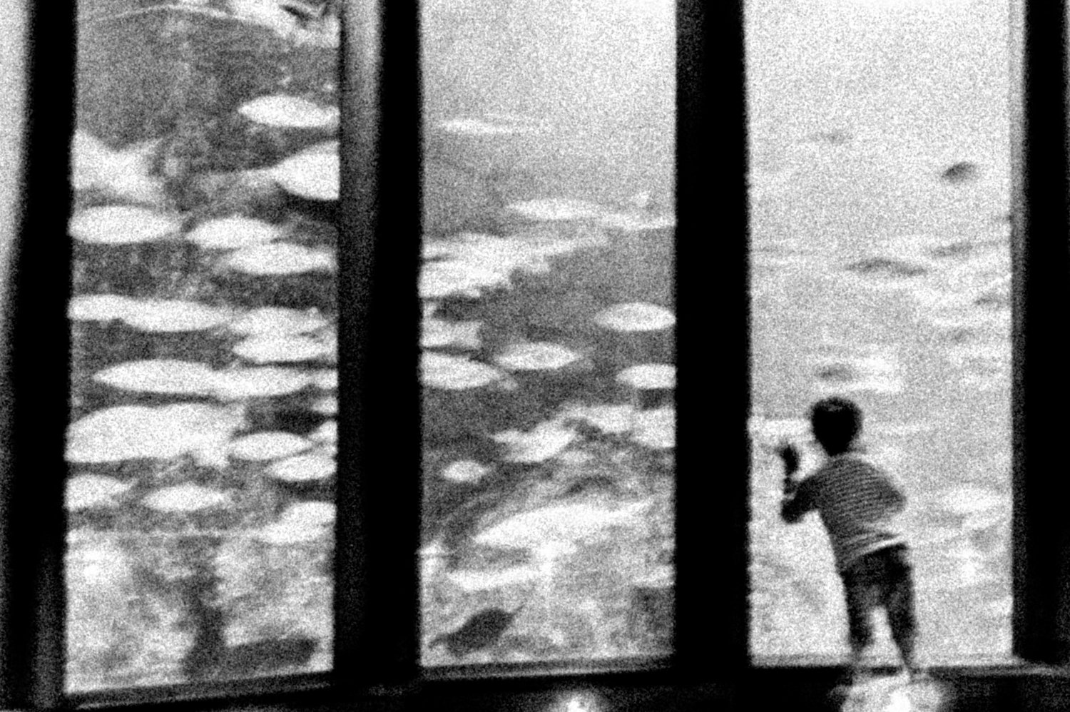 Jose A. Padín banner