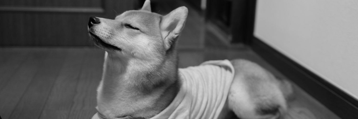 ぽにゃお banner