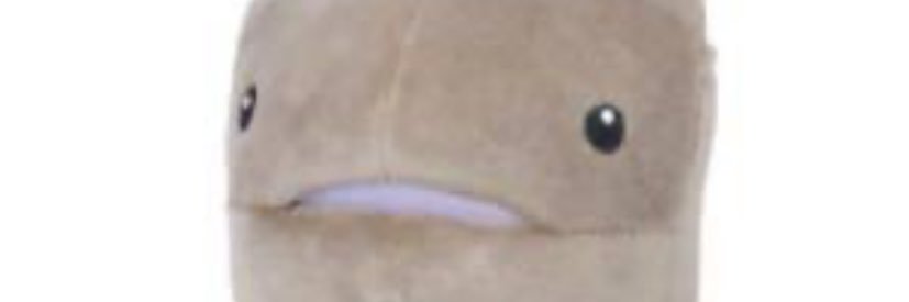 u_siog's profile banner image
