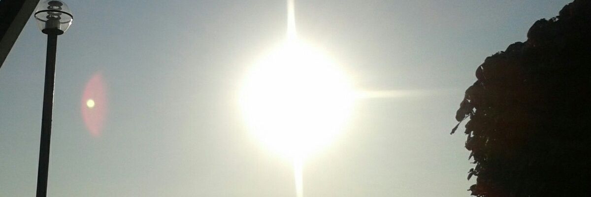 RNiChZ's profile banner image