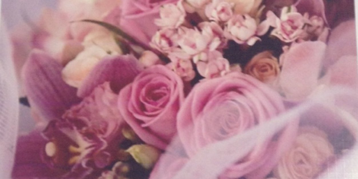 alamal271's profile banner image