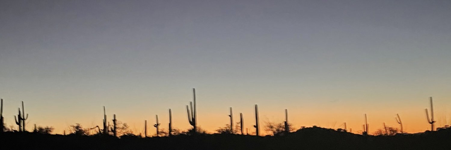 Swarelz's profile banner image