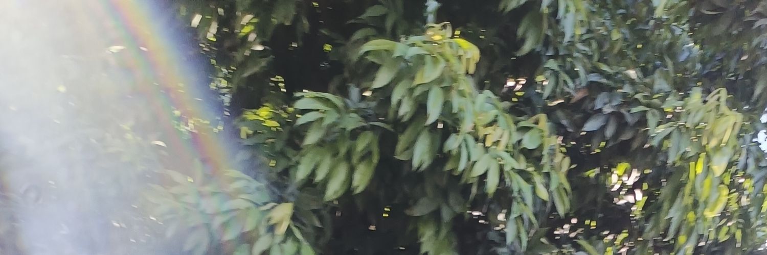 tht_average_guy's profile banner image