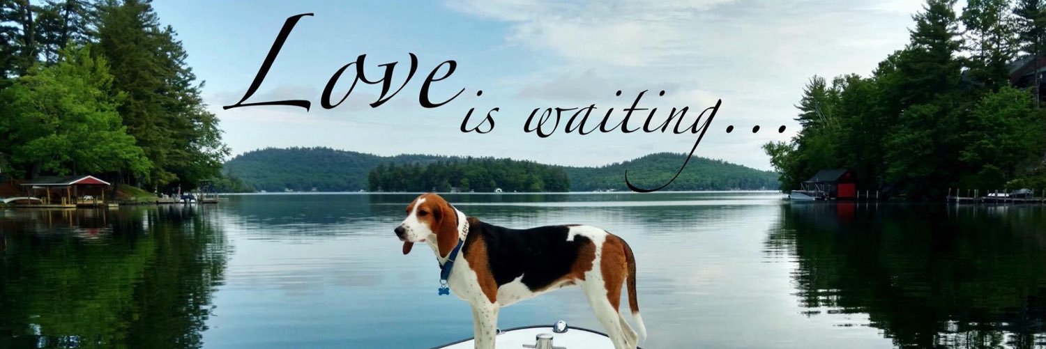 NHHumane's profile banner image