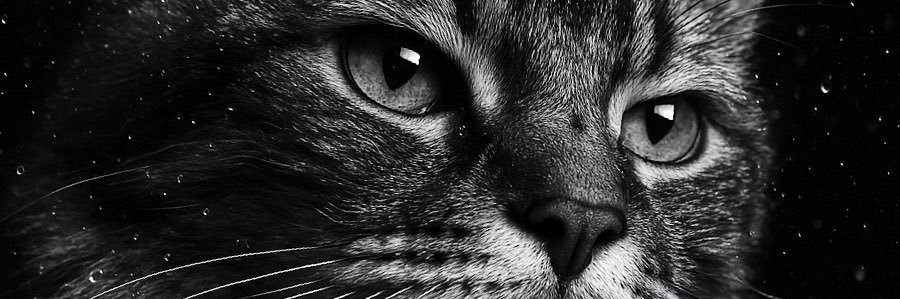 Ninja72Ops's profile banner image
