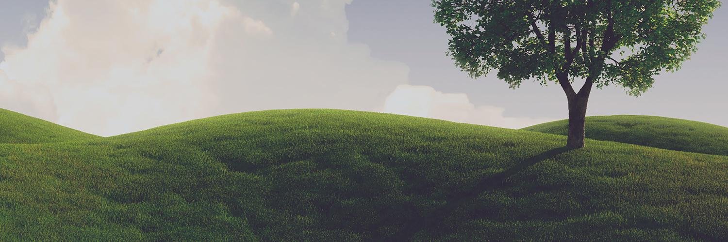 Strevus Inc. banner