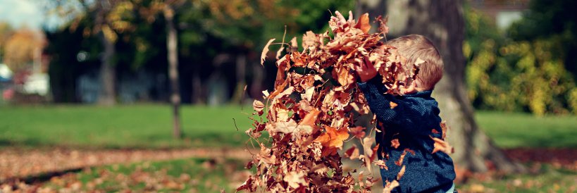 SAC Early Years banner