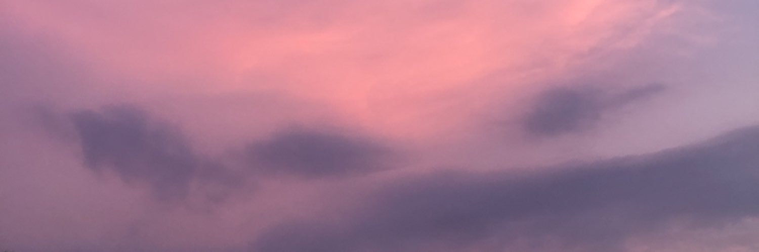 _pipillicious's profile banner image