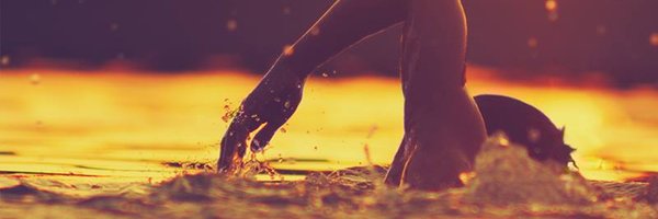 nicoseb71 Profile Banner