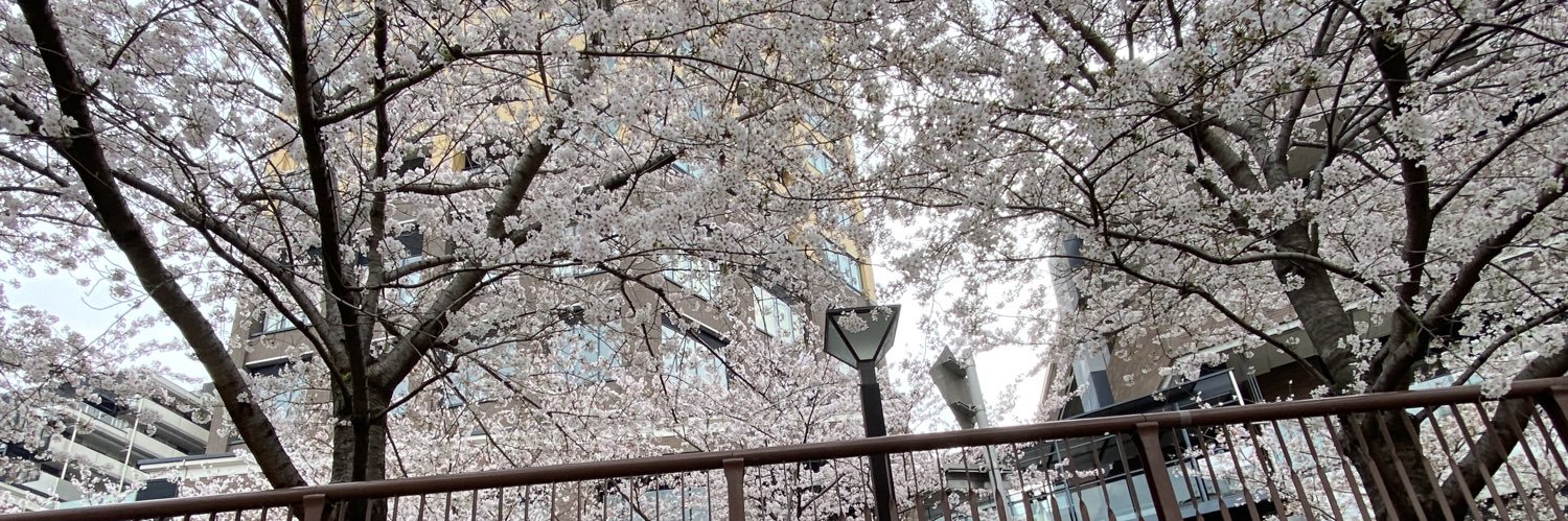 やまあざらし banner