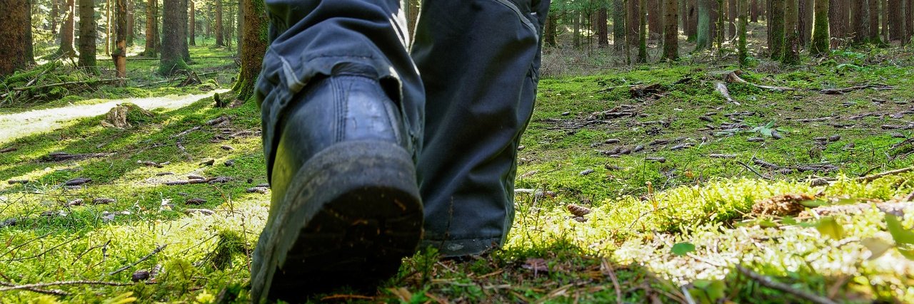 E.I.L.Cormo Integral banner