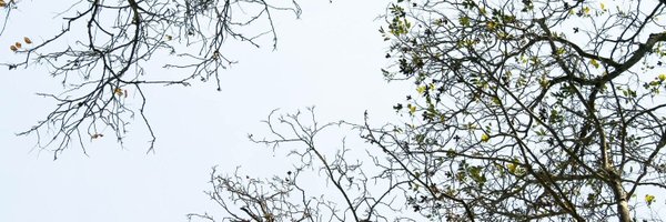 rajavijayaraman Profile Banner