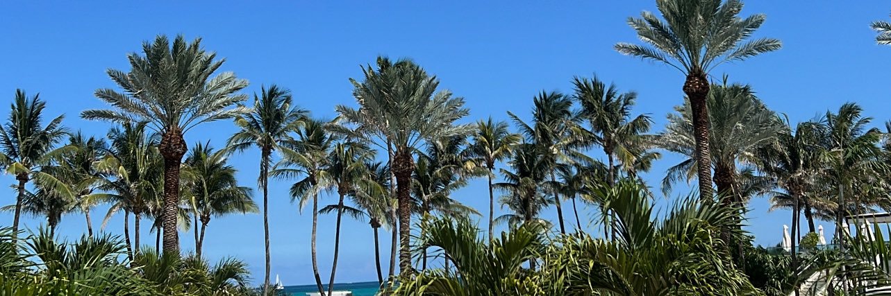 Big S🦋 banner