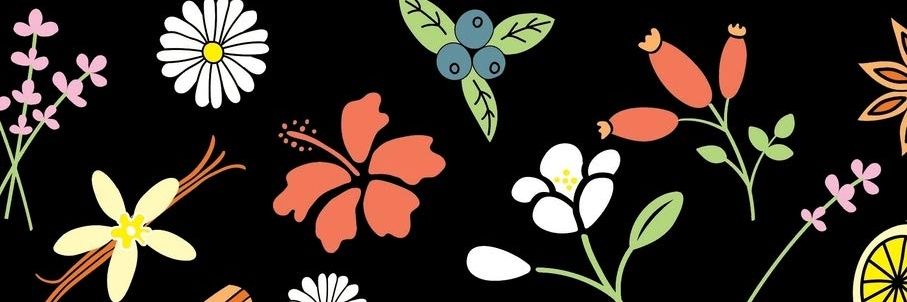 Chiara668's profile banner image