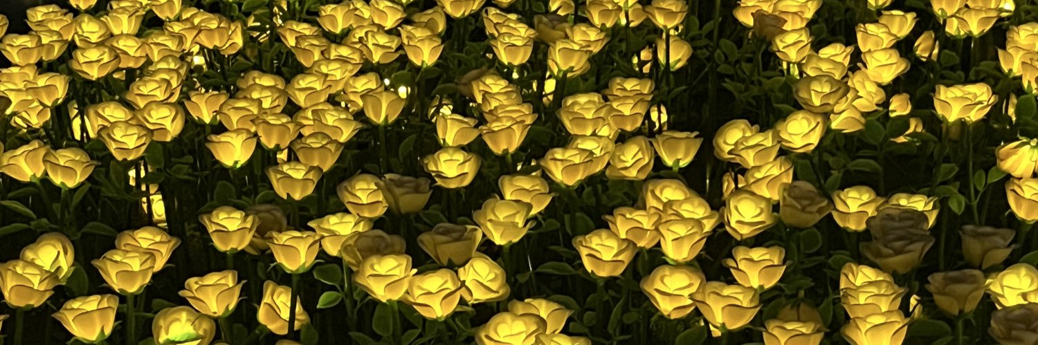 stateofpat's profile banner image