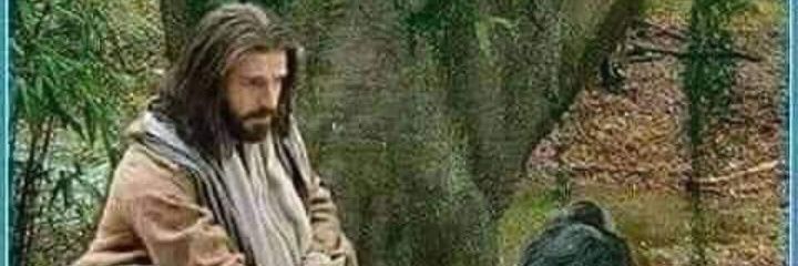 Butiran Debu 🇲🇨Pro NKRI 🇲🇨 banner