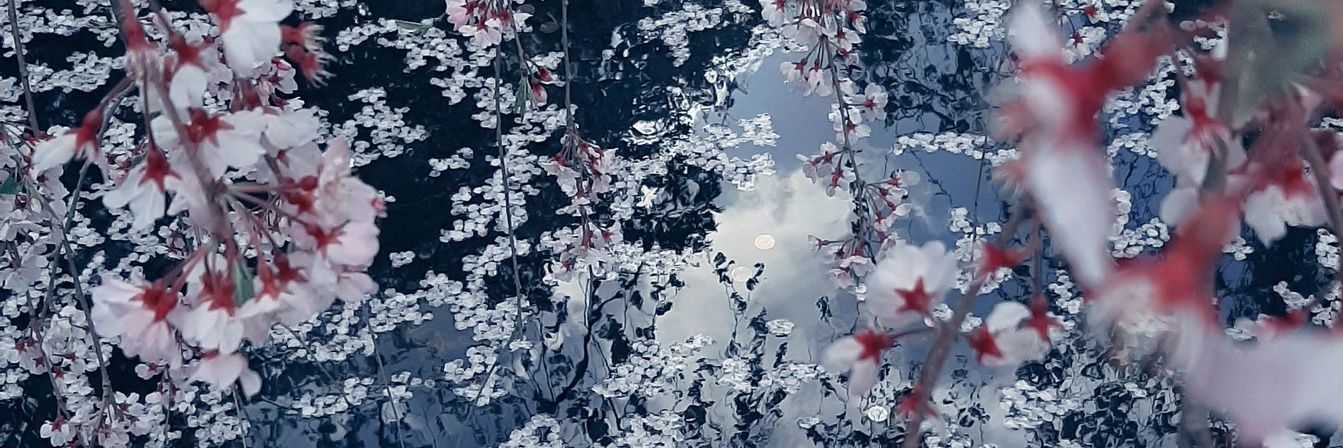 DepthOfTheWhite's profile banner image