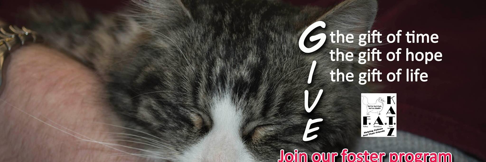 FatKatzAbq's profile banner image