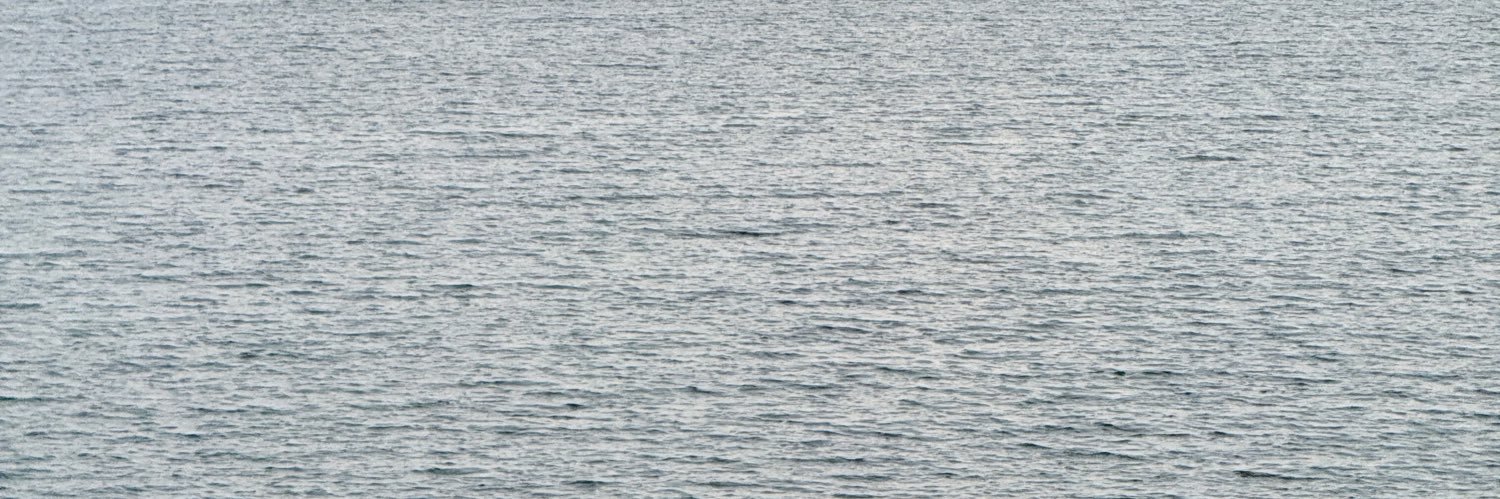 fromctou✿ banner