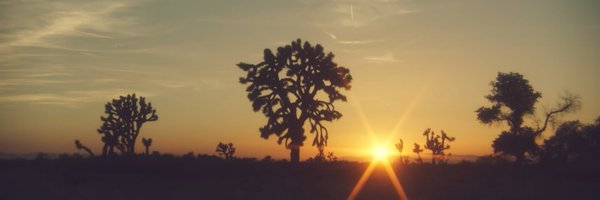 membreflo Profile Banner