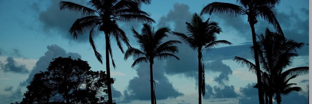 Su banner