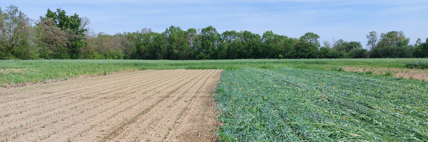 Valentin Deremetz banner