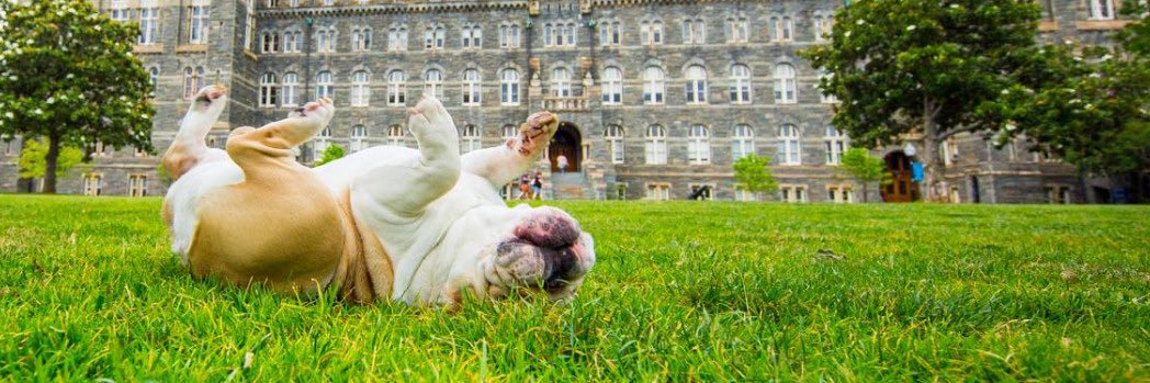 Early Learning Project banner