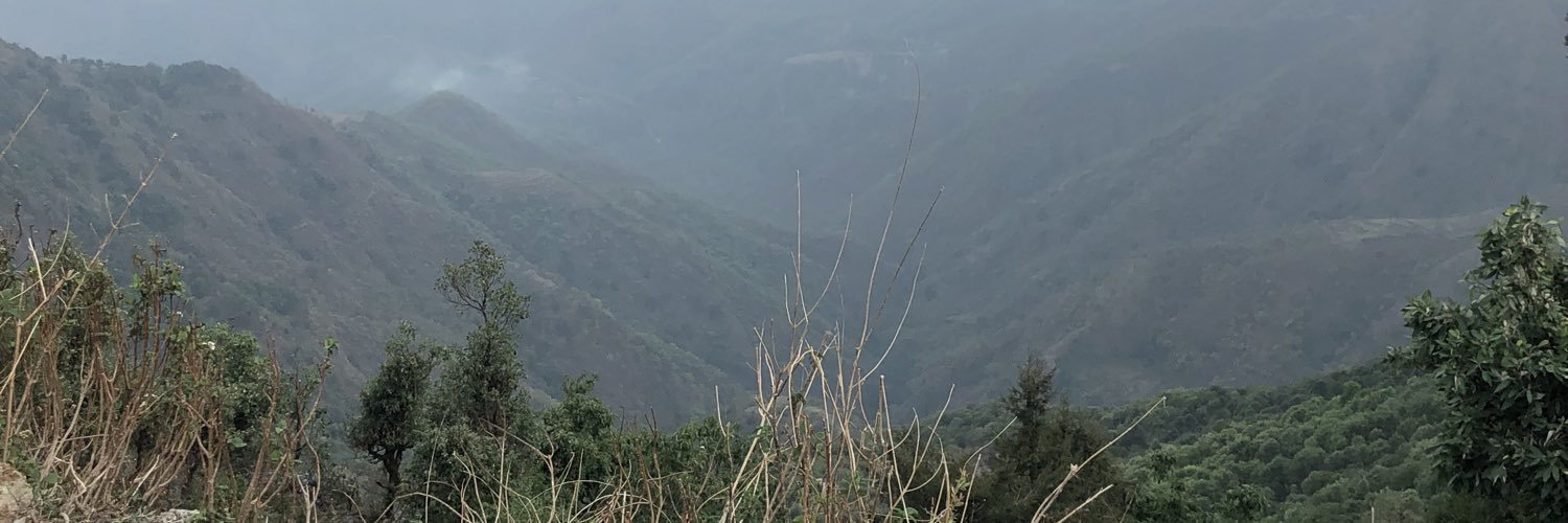 bhandariaanchal's profile banner image