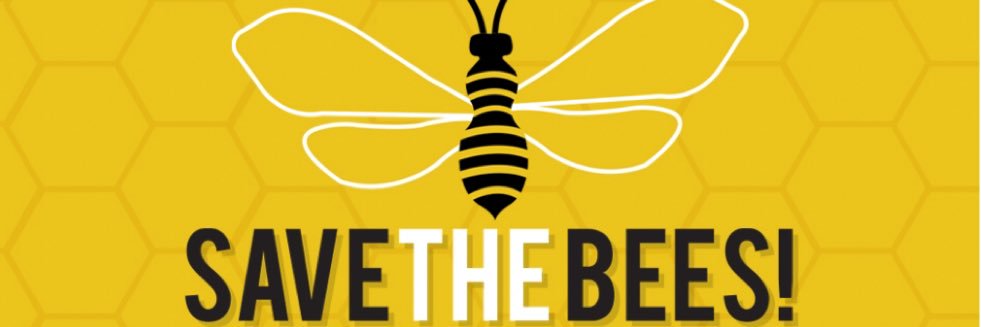 SaveTheBees20's profile banner image