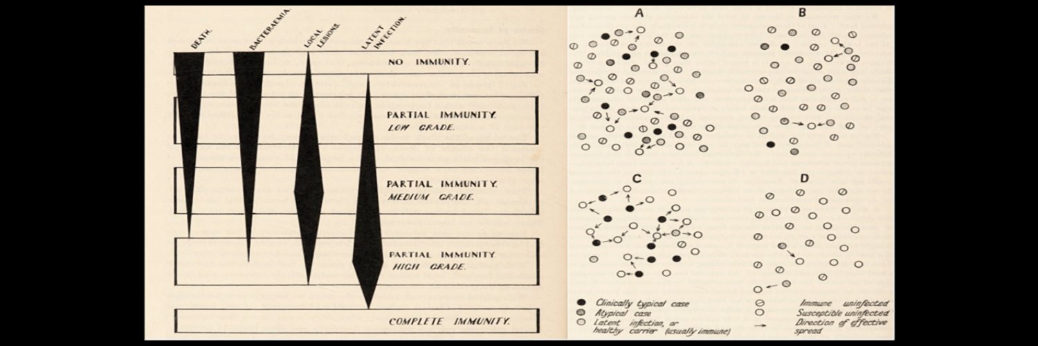 David Robertson banner