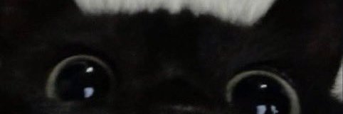 ismayllikun's profile banner image