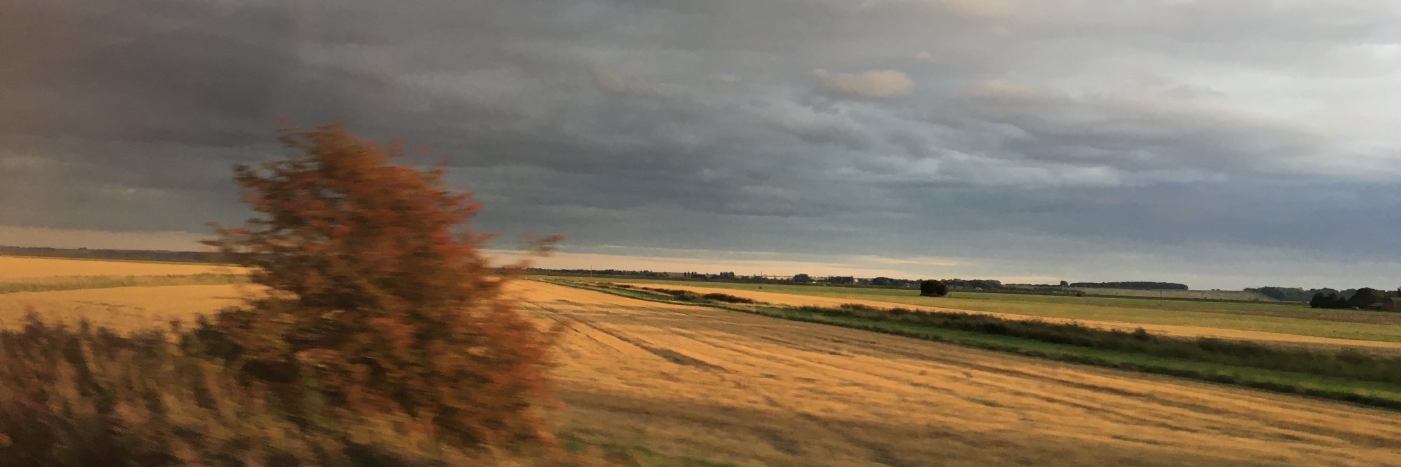 mrmarkmurphy's profile banner image