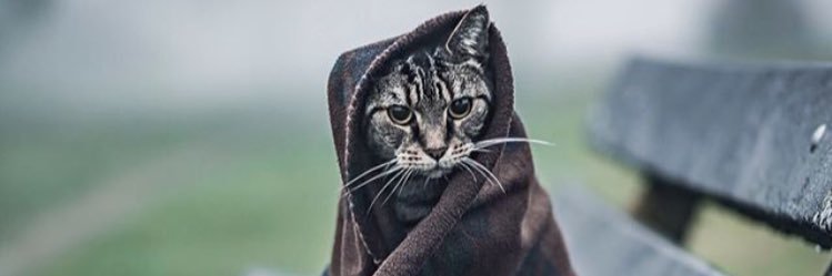 alvisyahrn's profile banner image