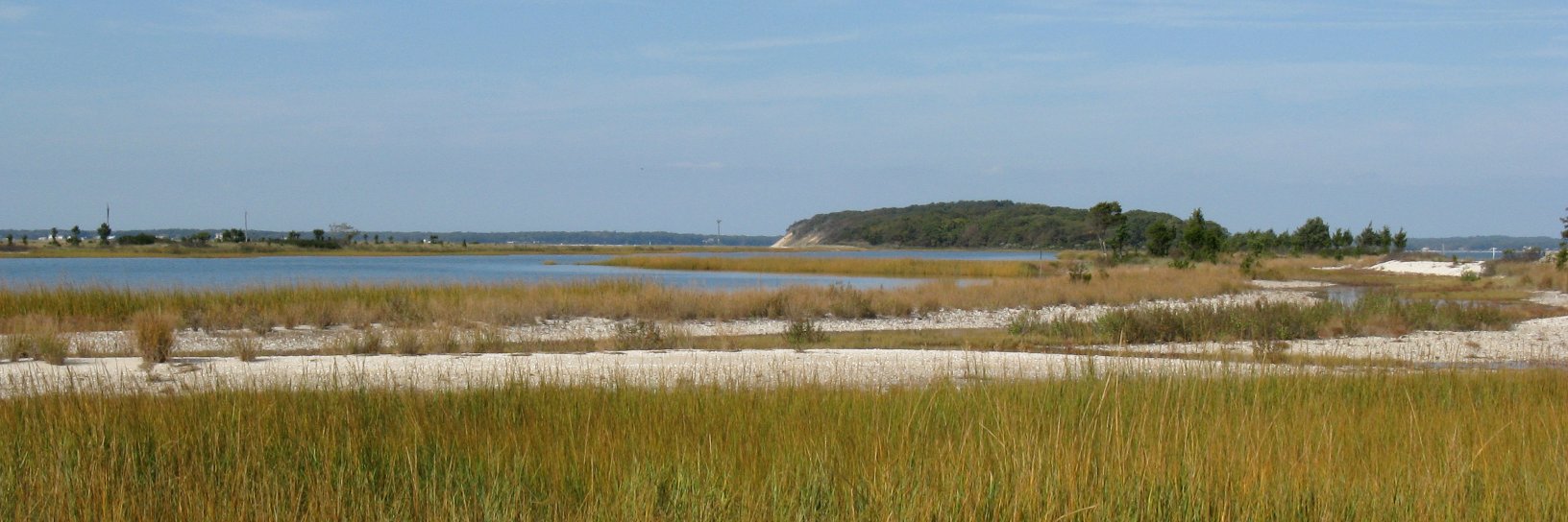 Peconic Baykeeper banner